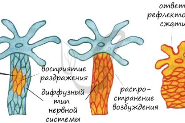 Кракен даркнет площадка ссылка